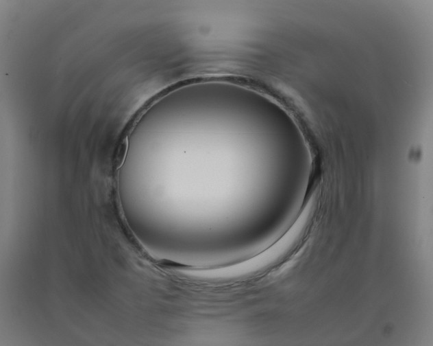X0000092241457200709281114