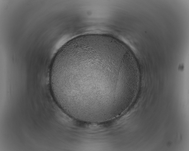 X0000092241459200709281114