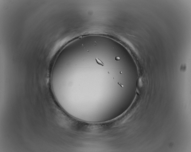 X0000092241461200709281114