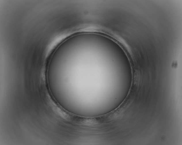 X0000092241464200709281114