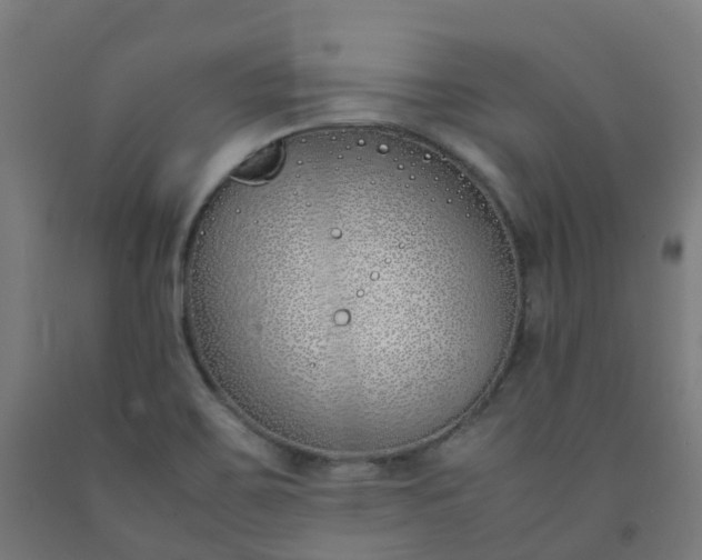X0000092241467200709281114