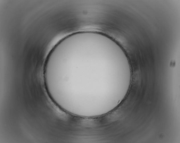 X0000092241470200709281114
