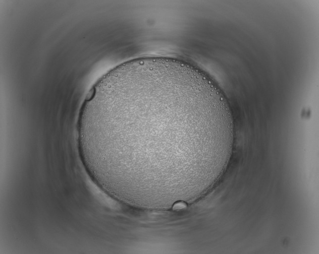 X0000092241471200709281114