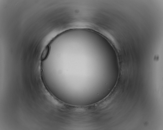 X0000092241472200709281114