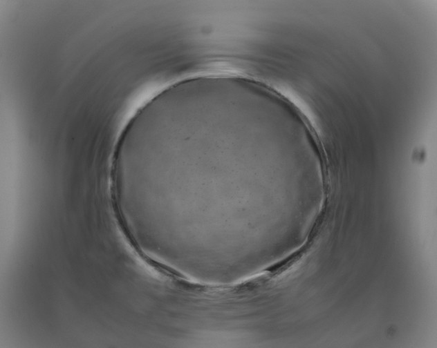 X0000092241477200709281114