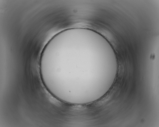 X0000092241478200709281114