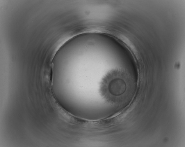 X0000092241481200709281114