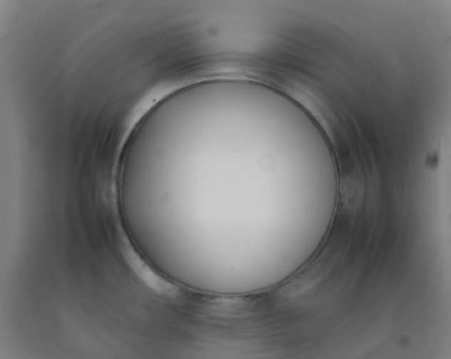 X0000092241482200709281114