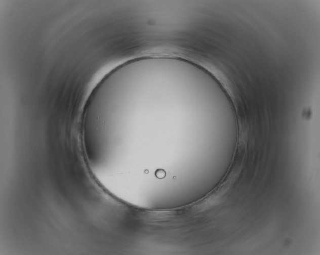 X0000092241486200709281114