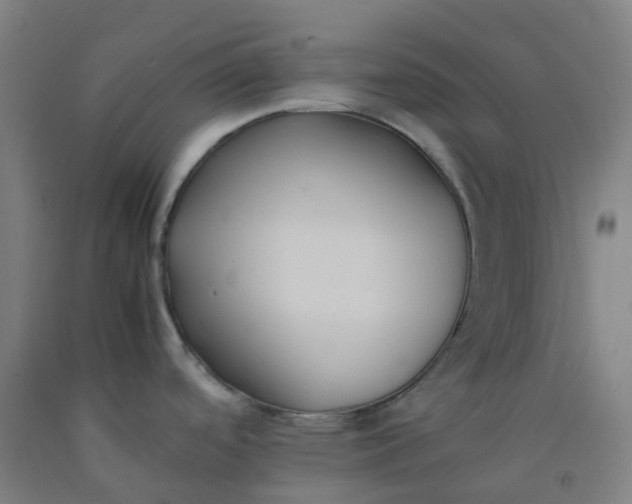 X0000092241488200709281114