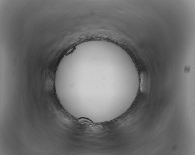 X0000092241491200709281113