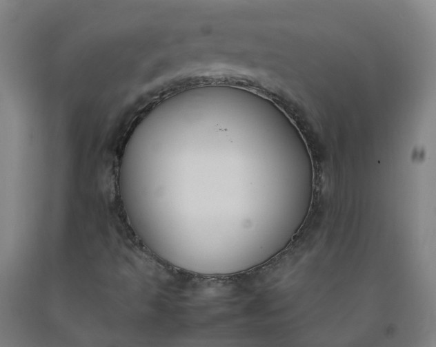 X0000092241493200709281113