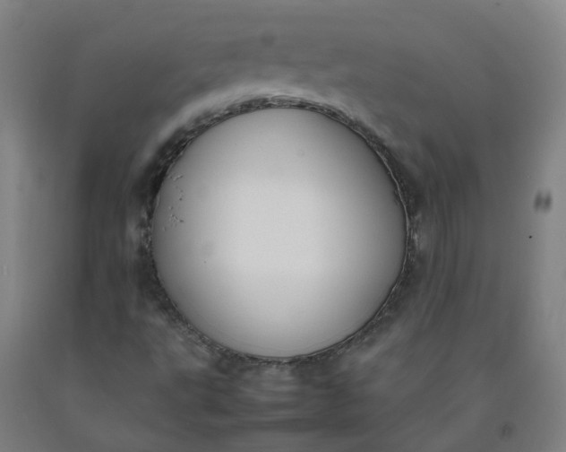X0000092241495200709281113