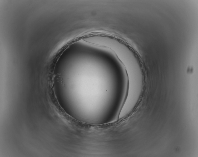 X0000092241496200709281113