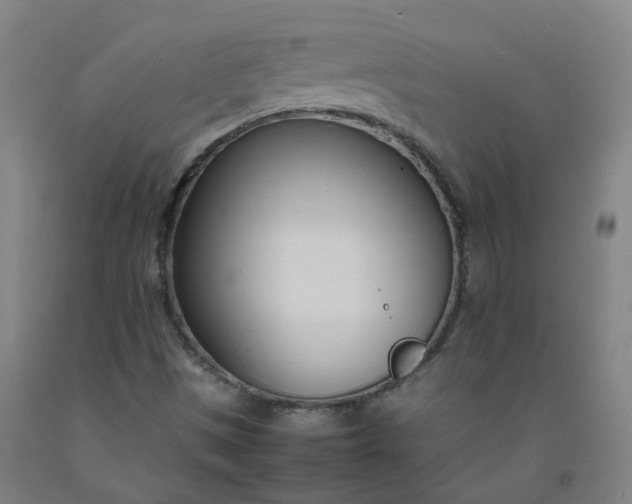 X0000092241497200709281113