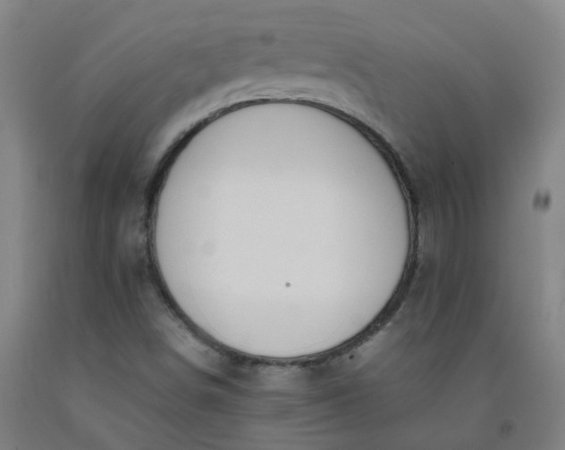 X0000092241498200709281113