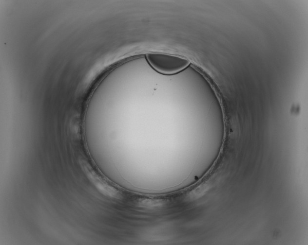 X0000092241499200709281113