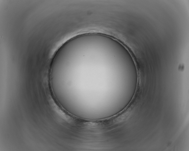 X0000092241500200709281113