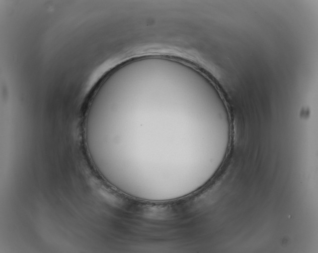 X0000092241501200709281113