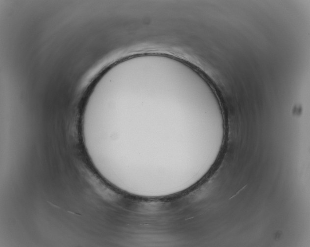 X0000092241502200709281113