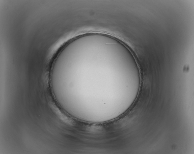 X0000092241503200709281113