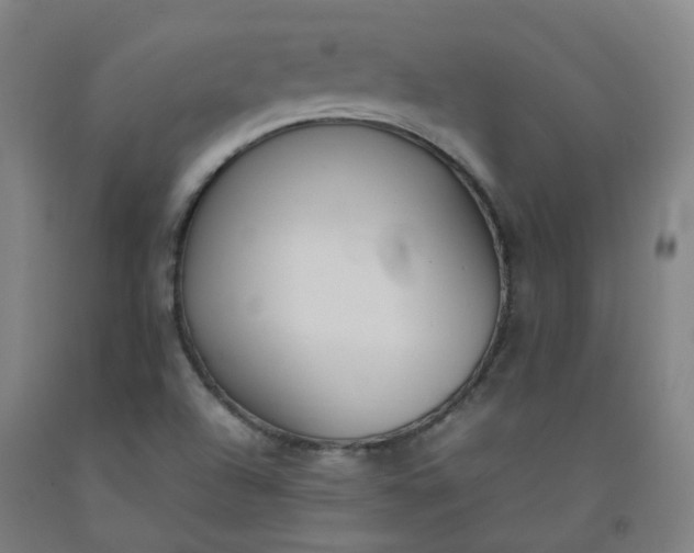 X0000092241504200709281113