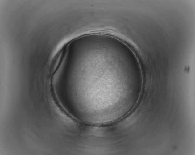 X0000092241506200709281114