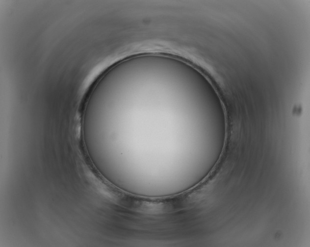 X0000092241509200709281114