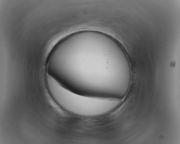 X0000092241511200709281114