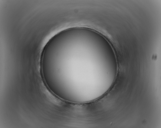 X0000092241512200709281114