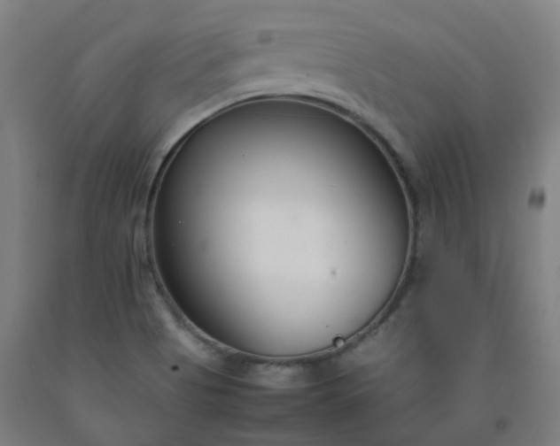 X0000092241513200709281114