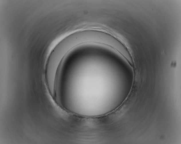 X0000092241520200709281114