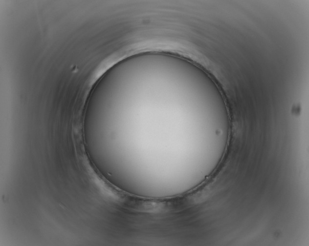 X0000092241521200709281114