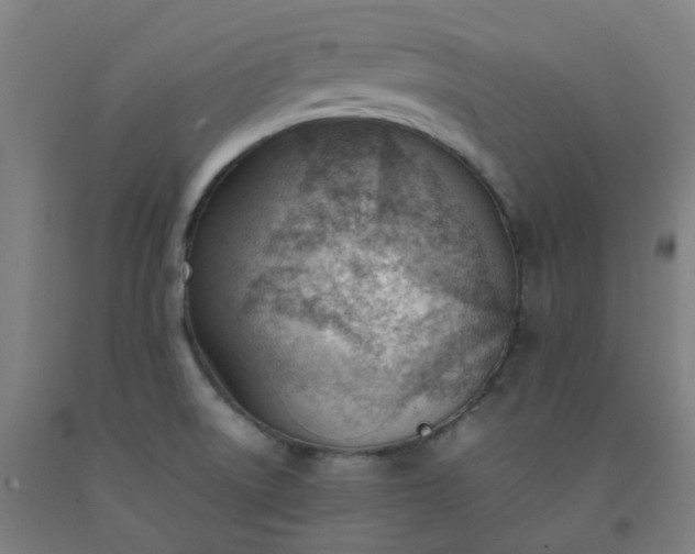 X0000092241522200709281114