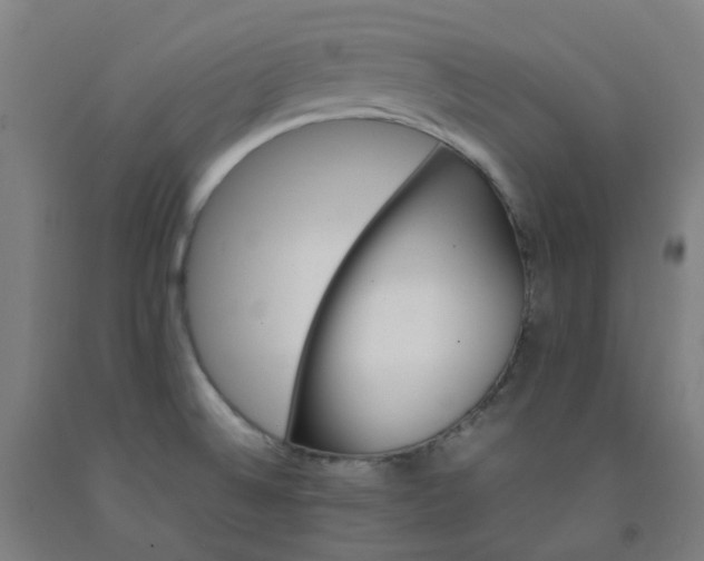 X0000092241524200709281114