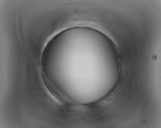 X0000092241525200709281114