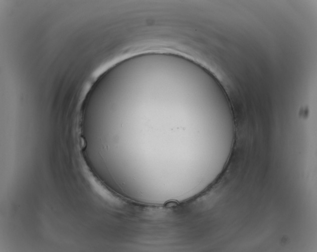 X0000092241526200709281114