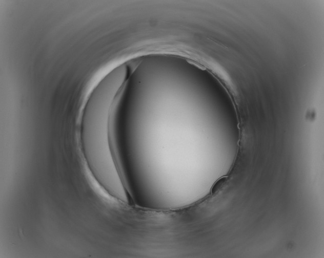 X0000092241528200709281114
