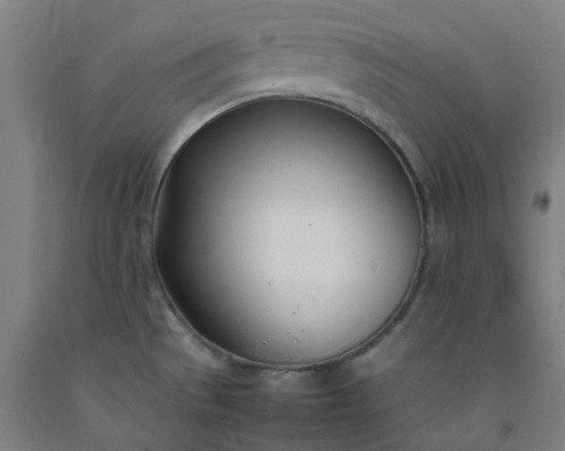 X0000092241529200709281114