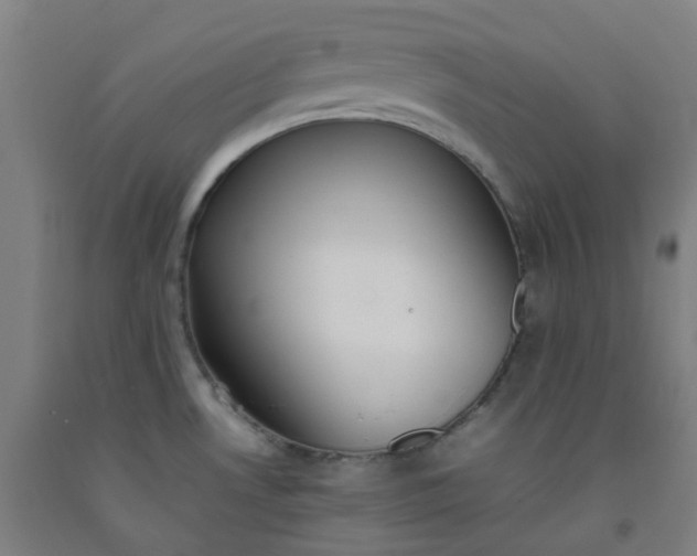 X0000092241530200709281114
