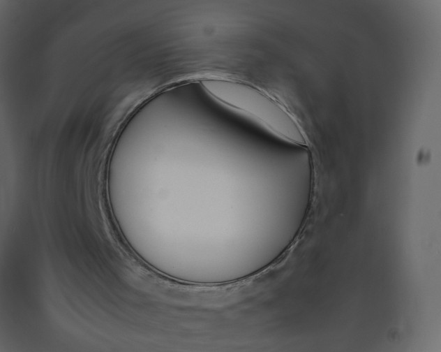 X0000092240001200710051248