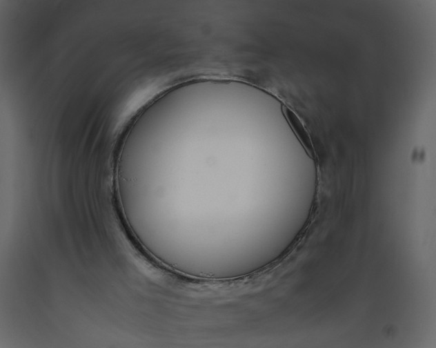 X0000092240005200710051248