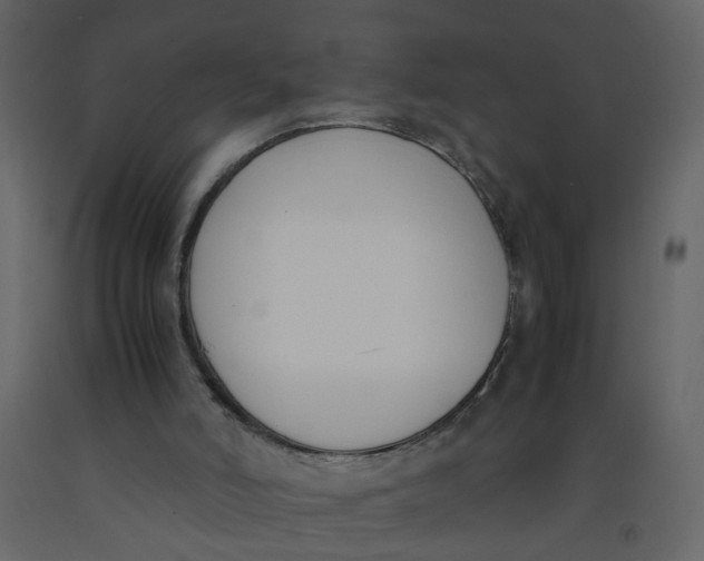 X0000092240006200710051248