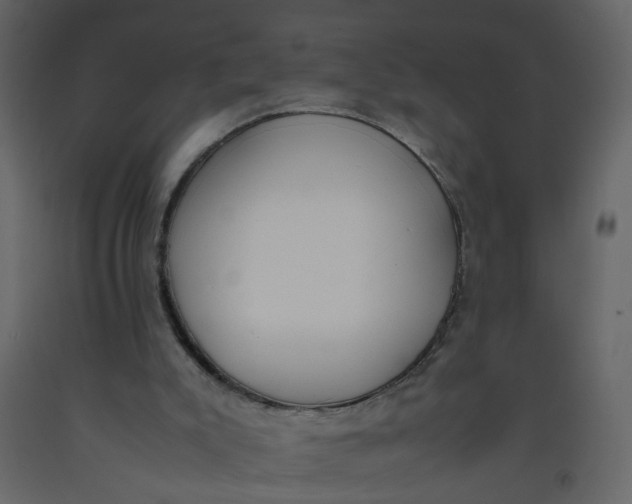 X0000092240007200710051248
