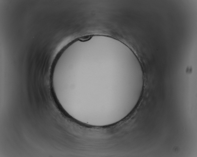 X0000092240008200710051248
