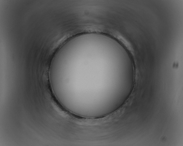 X0000092240009200710051248