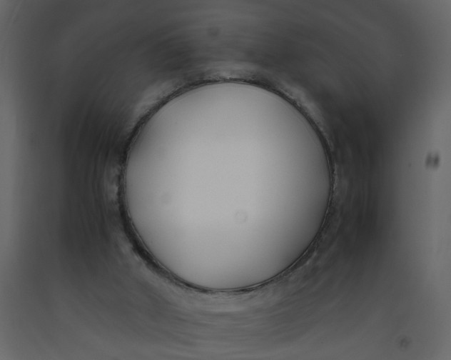 X0000092240010200710051248