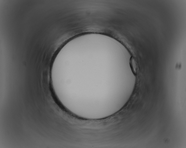 X0000092240011200710051248