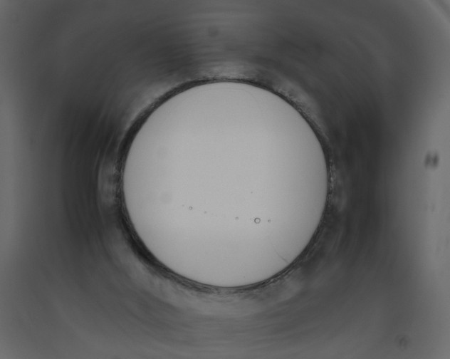 X0000092240012200710051248