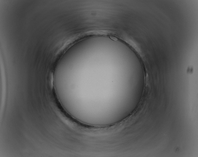 X0000092240013200710051248